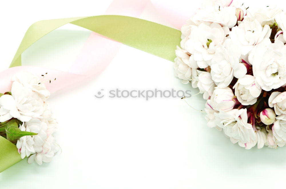 Similar – Image, Stock Photo manfred krug Orchid Vase