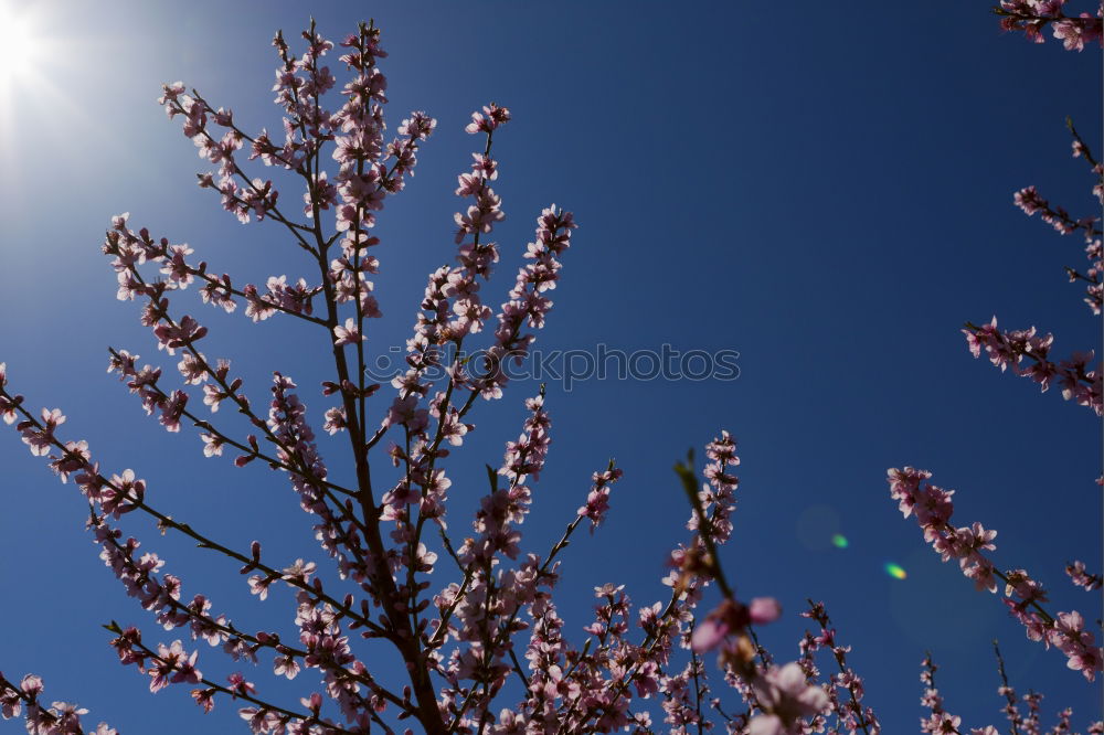 Foto Bild Bald … Umwelt Natur