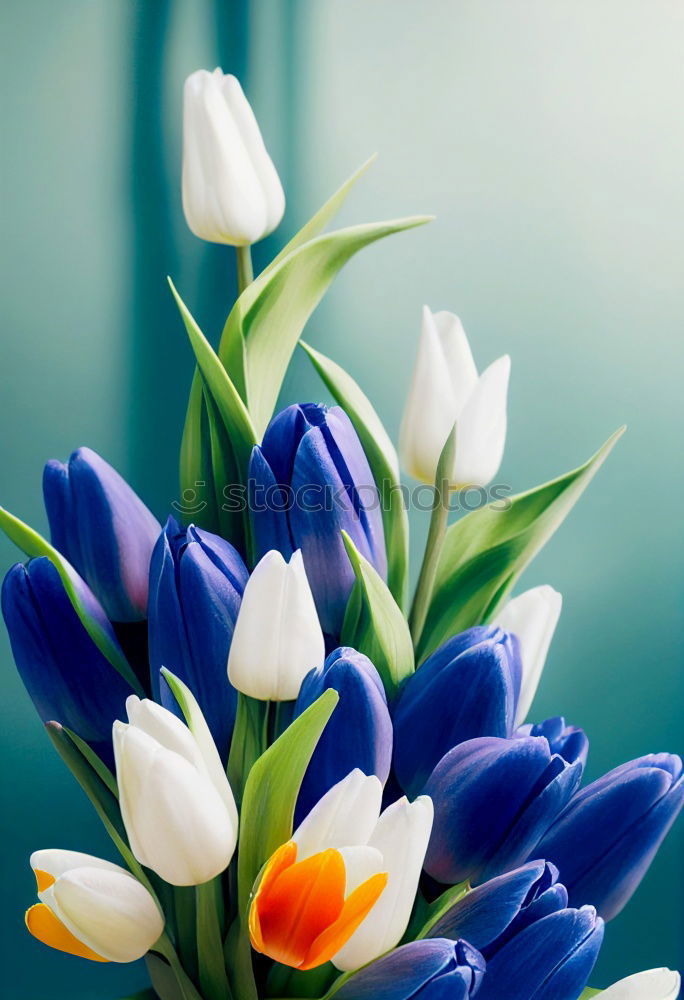 Similar – Image, Stock Photo Tulips Bouquet of flowers