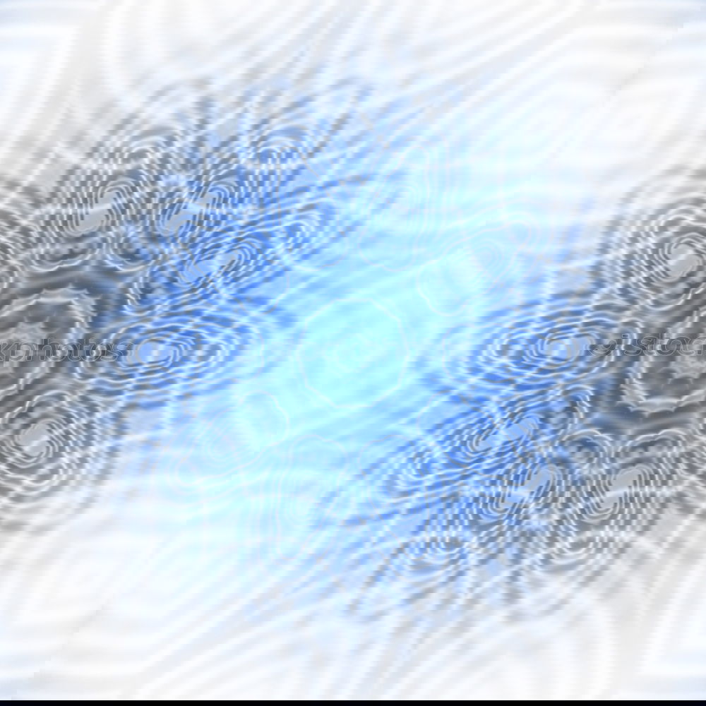 Similar – Image, Stock Photo seashell Mussel Spiral