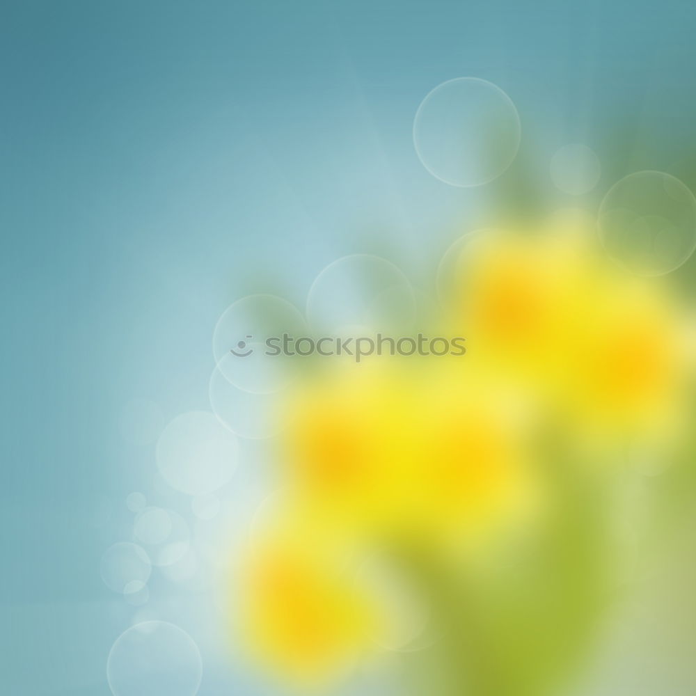 Image, Stock Photo Communication through flowers