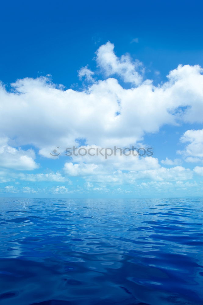 Similar – Image, Stock Photo Mallorca from its beautiful side 37