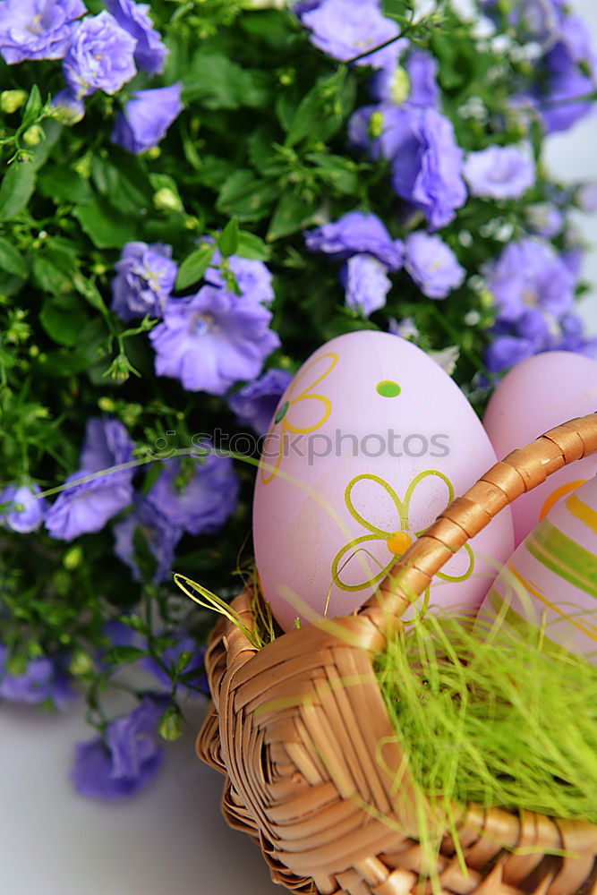 Similar – Image, Stock Photo Searched and found Food