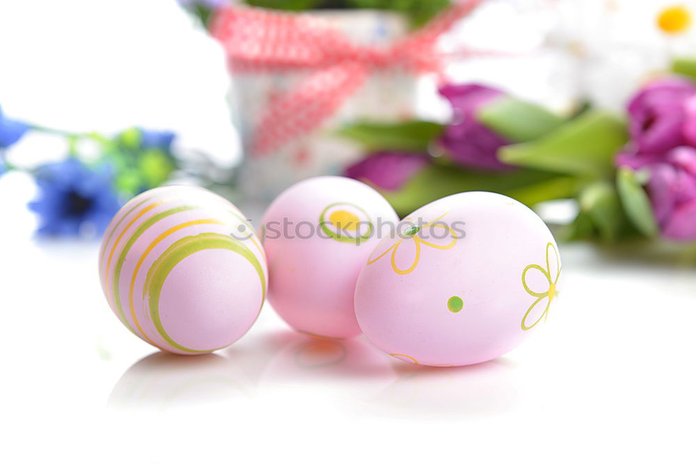 Similar – Image, Stock Photo OSTERkuschelEI in pink