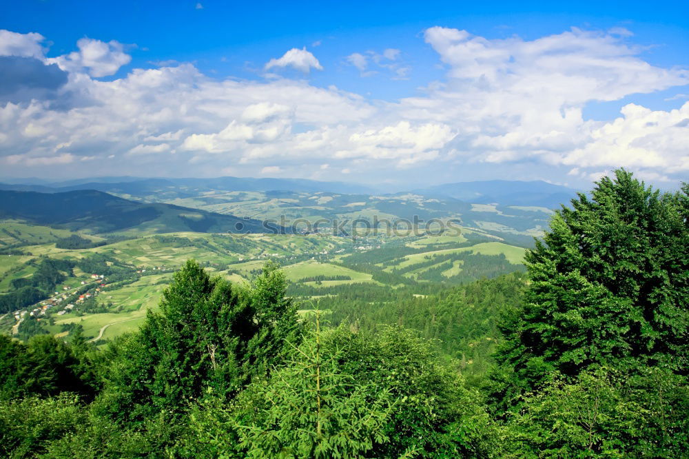 Similar – Image, Stock Photo soothing tea