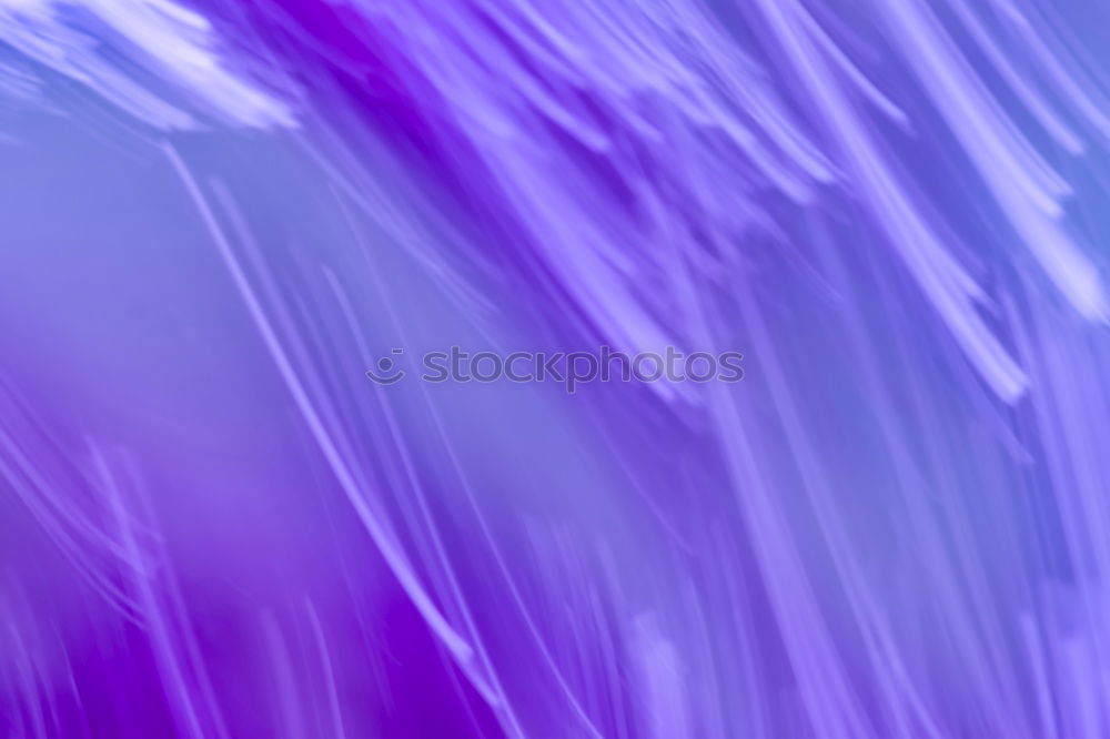 Similar – Image, Stock Photo The first snow Nature