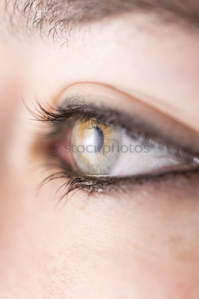 Similar – Image, Stock Photo It is said that the eyes are the window to the soul and yet the observer is so easily deceived and so much remains hidden.