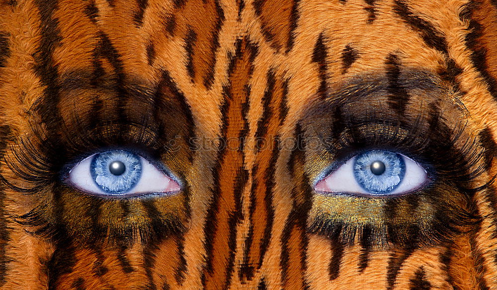 Similar – Foto Bild pixeltiger III Tiger Zoo