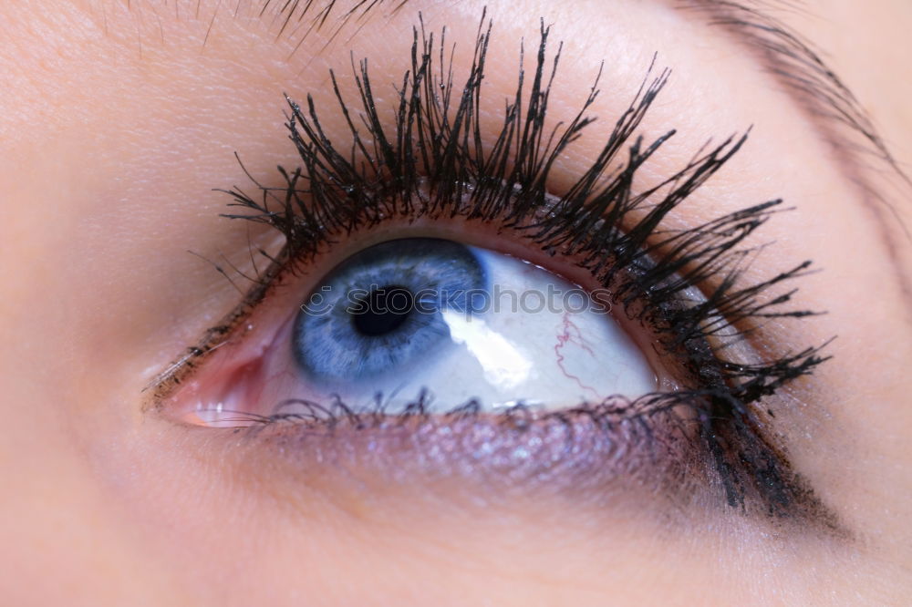 Similar – My look Eyelash Pupil