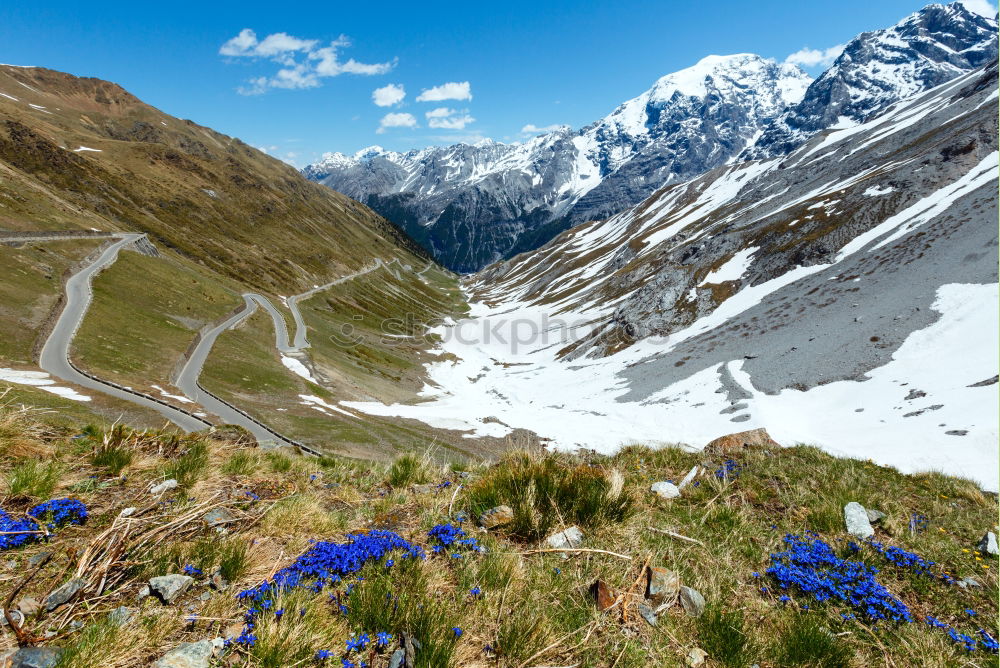 Similar – Image, Stock Photo Mountain pass road