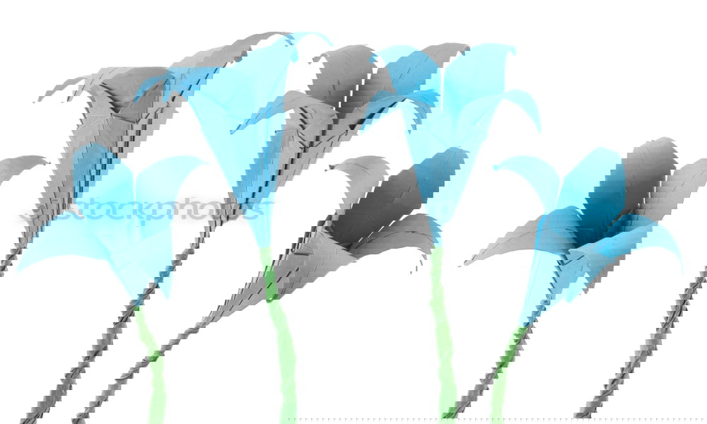 Image, Stock Photo Tulip power 3 Classical