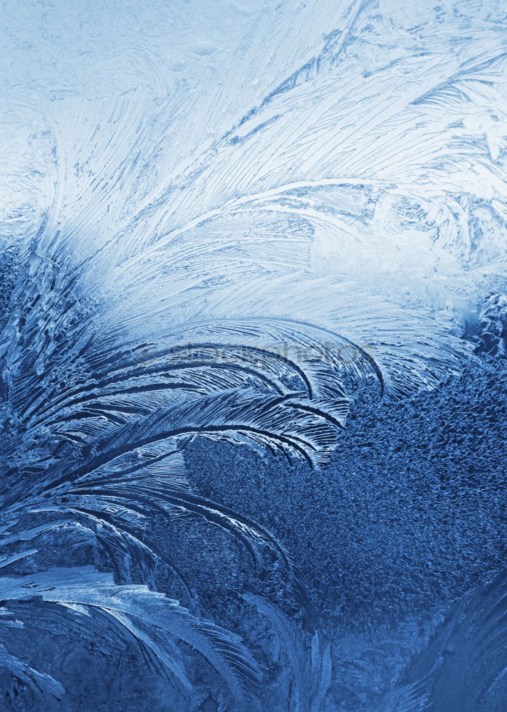 Similar – Filigree ice flower on the windscreen of a car during severe frost