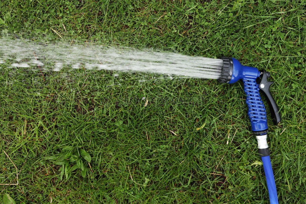 Similar – Image, Stock Photo Watering Summer Garden