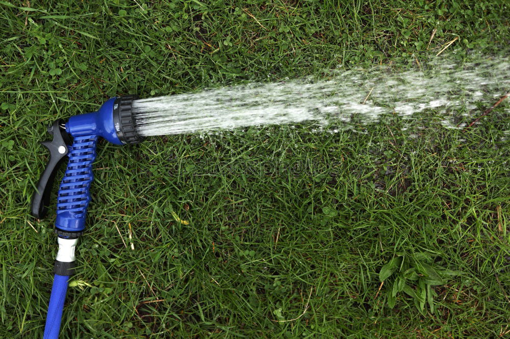 Image, Stock Photo Watering Summer Garden