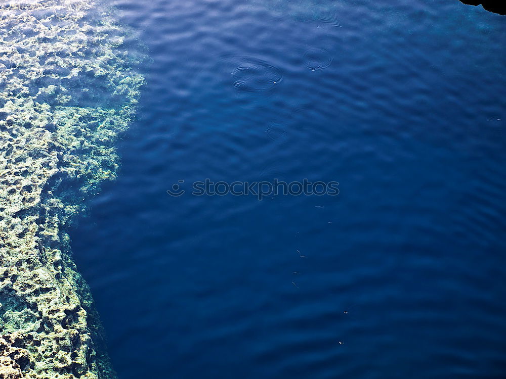 Similar – Image, Stock Photo A ship will come Water