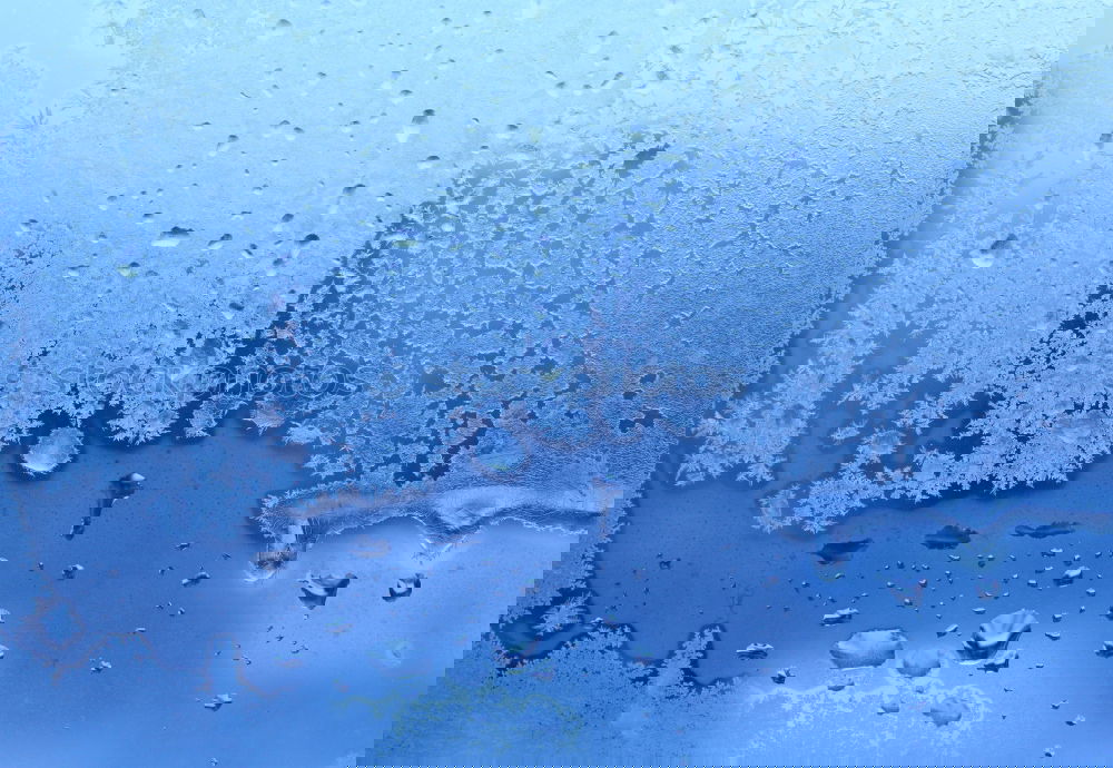 Similar – Image, Stock Photo rope Rain Car Water Blue