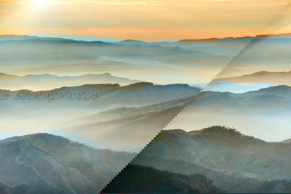 Similar – Image, Stock Photo Black Forest