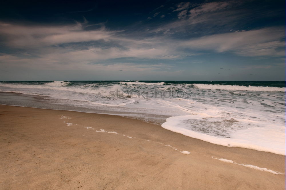 Similar – Image, Stock Photo puny /tree remains on a dune. Down the high sandy beach there are some smaller stones in front of the foaming light surf.