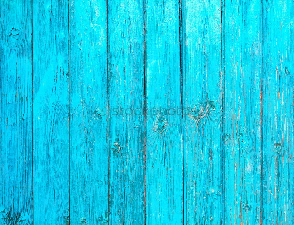 Foto Bild BLAUER MITTWOCH