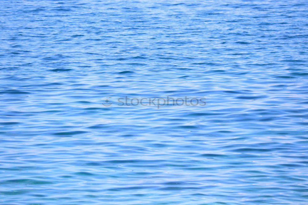 Image, Stock Photo – in the sea