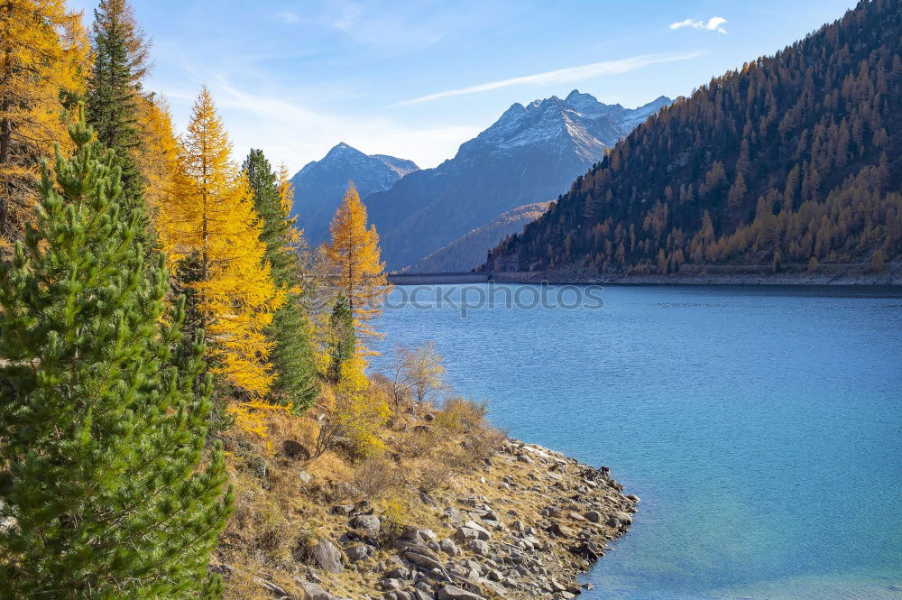 Similar – Image, Stock Photo Duisitzkarsee in autumn