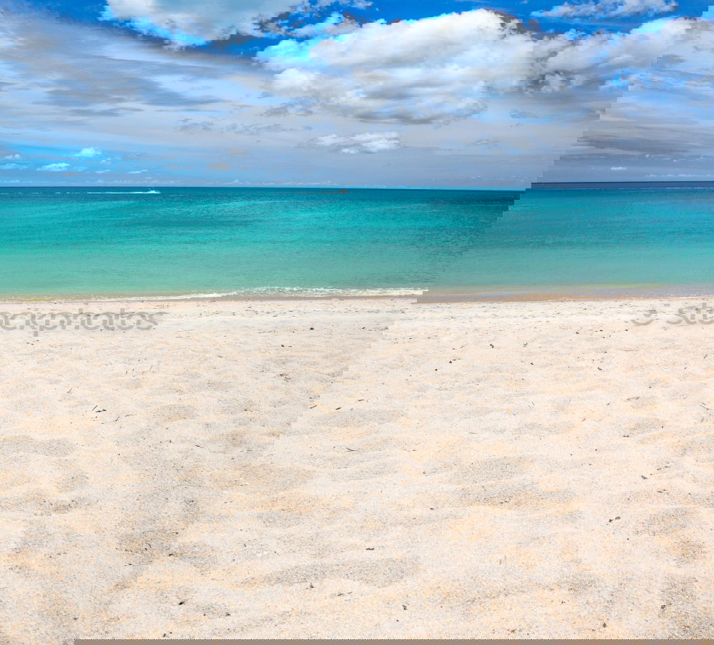 Similar – Image, Stock Photo Aerial View From Flying Drone Of People On Beach