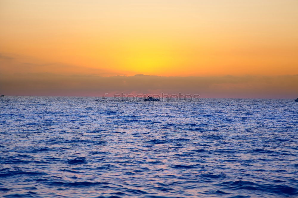 Similar – Image, Stock Photo SLEEPING PLACE Nature