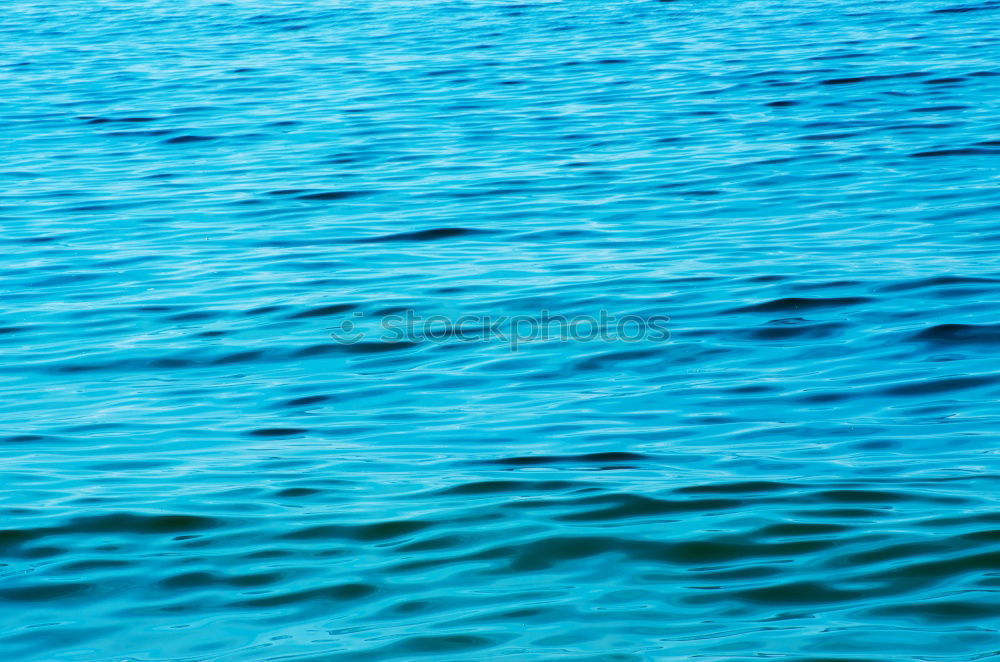 Similar – Image, Stock Photo – in the sea