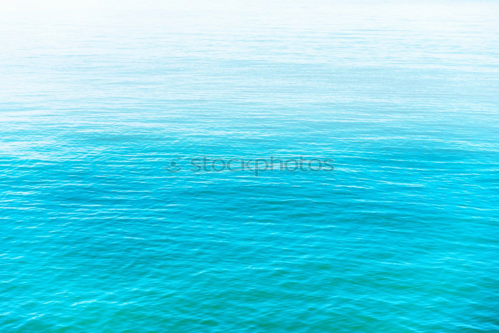 Similar – Foto Bild ///F//R//E//S//H///
