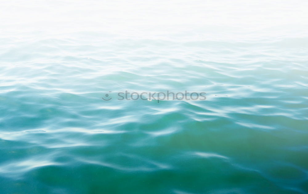 Similar – Image, Stock Photo silver Puddle Reflection