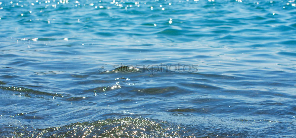 Similar – Image, Stock Photo parasol I Sunshade