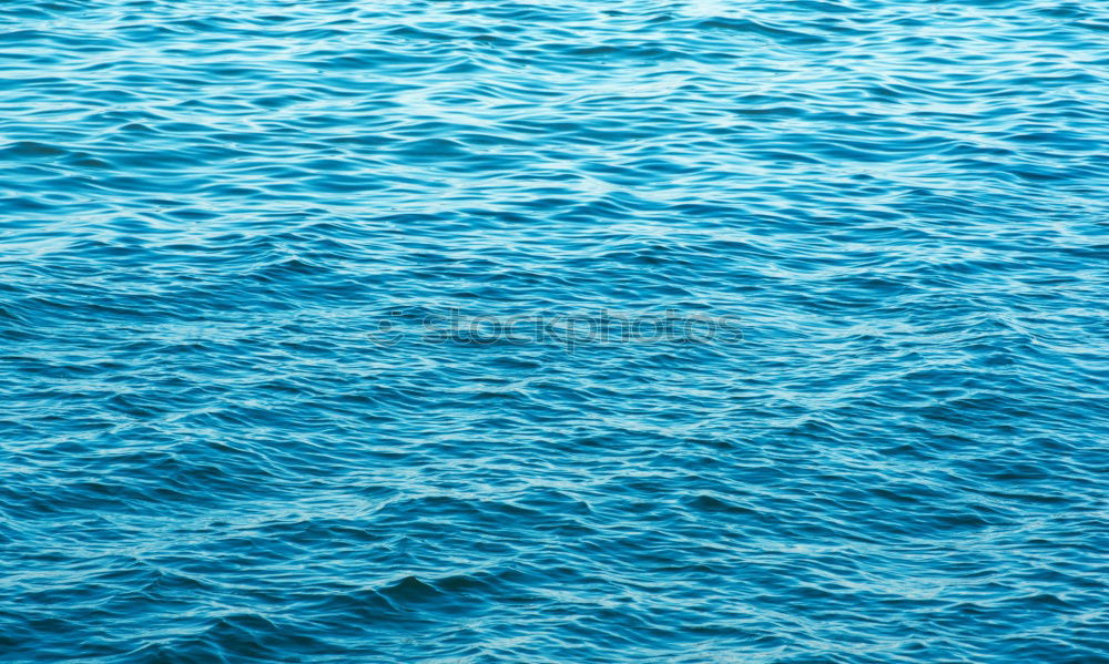 Similar – Image, Stock Photo – in the sea