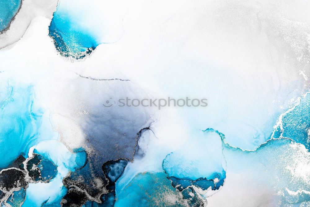 Similar – Image, Stock Photo Autumn flowers and leaves for decoration