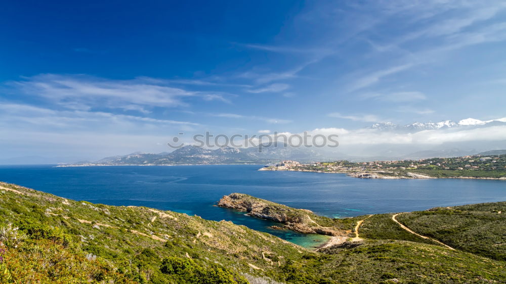 Similar – Image, Stock Photo vine Nature Landscape Blue