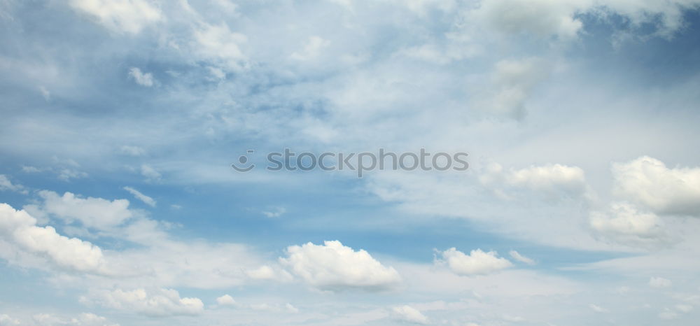 Similar – Image, Stock Photo green lung Environment