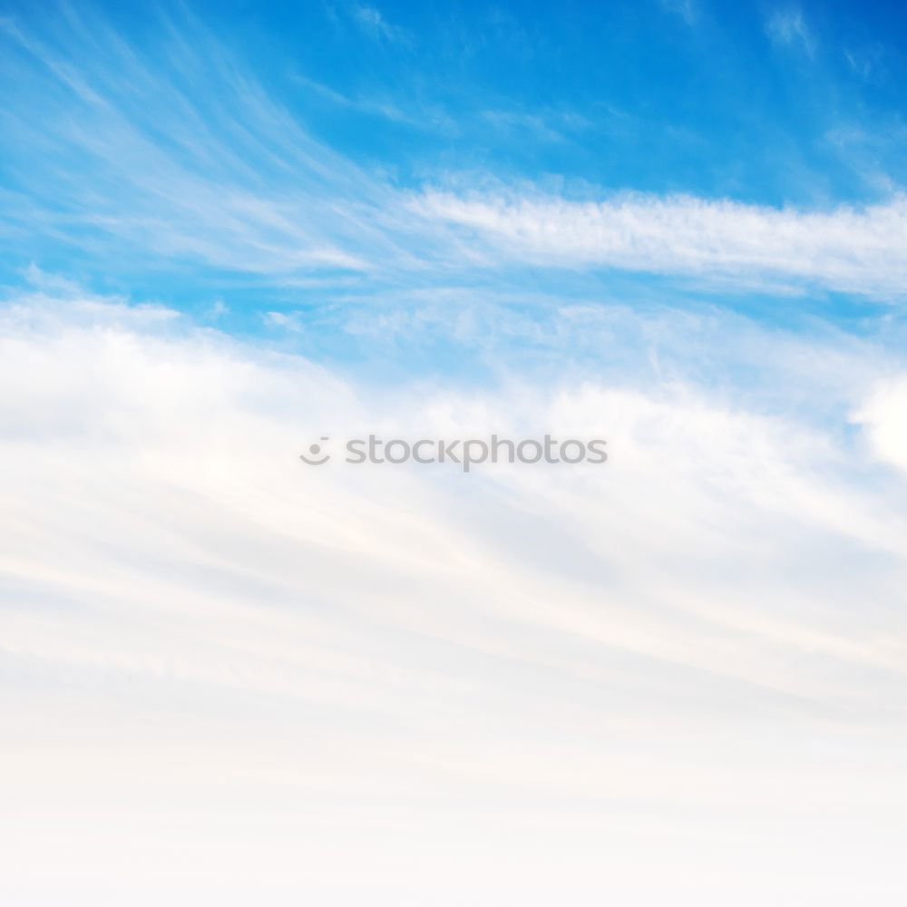 Similar – Image, Stock Photo Palermo Cathedral texture background