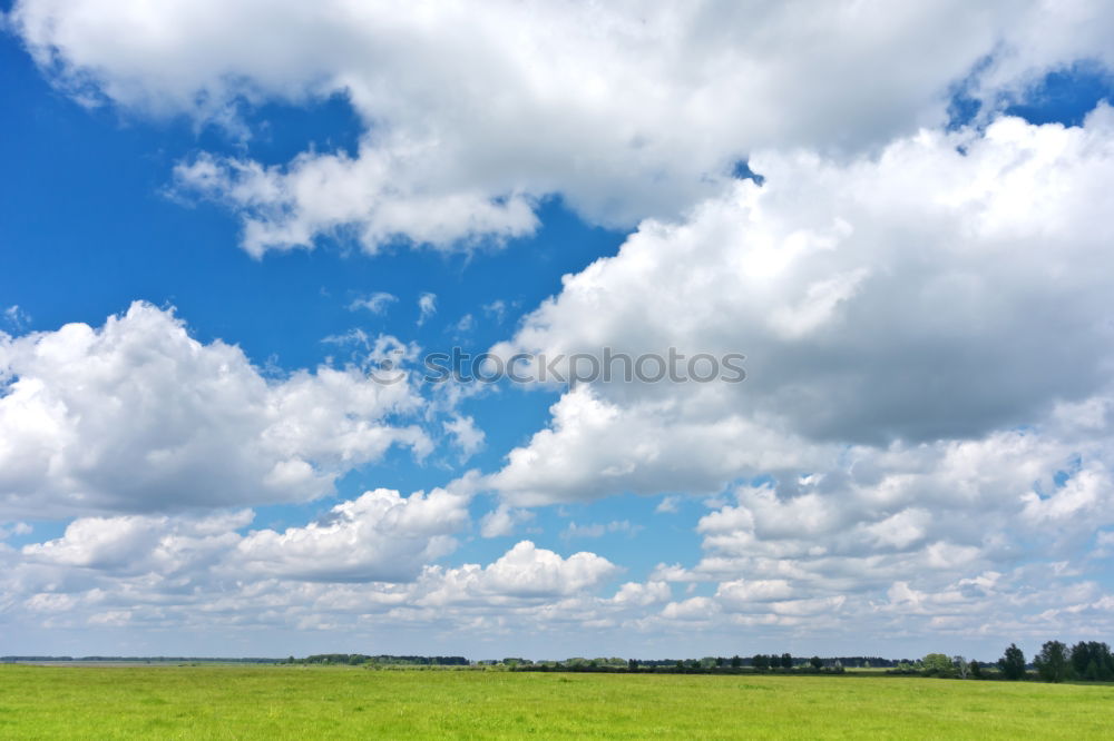 Similar – Field with trees near Rostock