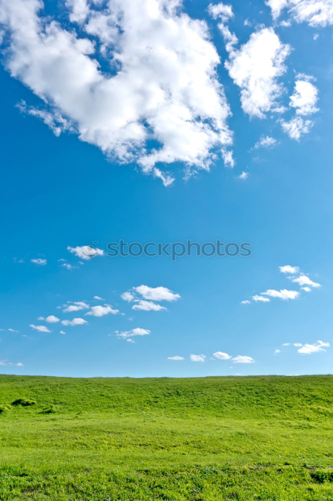 Similar – Foto Bild Hängt den Baum auf…