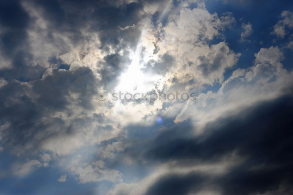 Similar – fleur Sun Sky Clouds