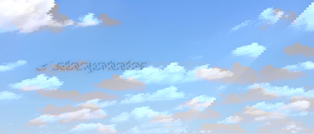 Similar – Image, Stock Photo Don’t think of a pink elephant!