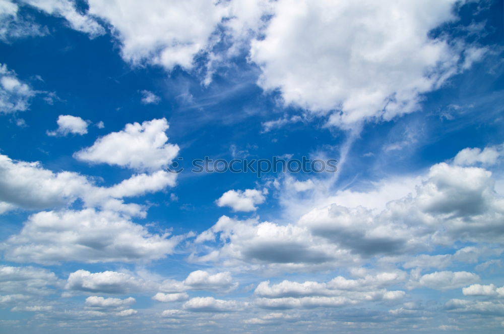 Similar – Foto Bild Wolken- und Baumfriseur