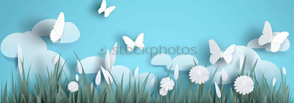 Similar – Image, Stock Photo White phaleanopsis orchid on blue background with copy space