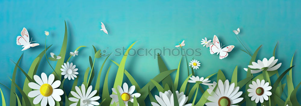 Similar – Image, Stock Photo White phaleanopsis orchid on blue background with copy space