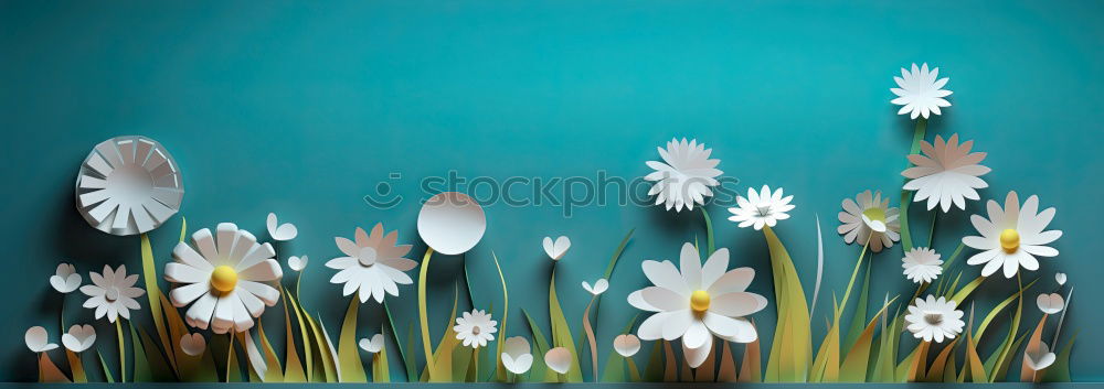 Similar – Flowers, scissors and decoration for bunch of flowers