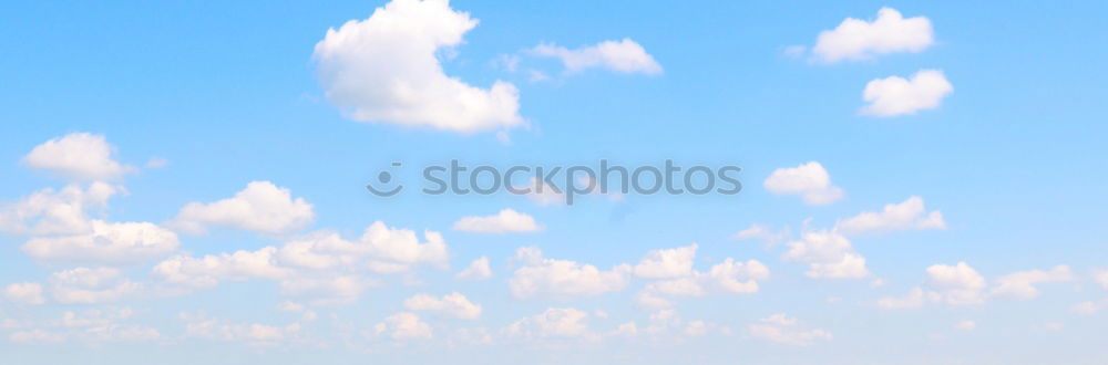 Similar – Image, Stock Photo Don’t think of a pink elephant!