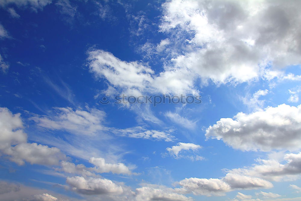 Similar – Foto Bild Fremde Welt Strand Meer