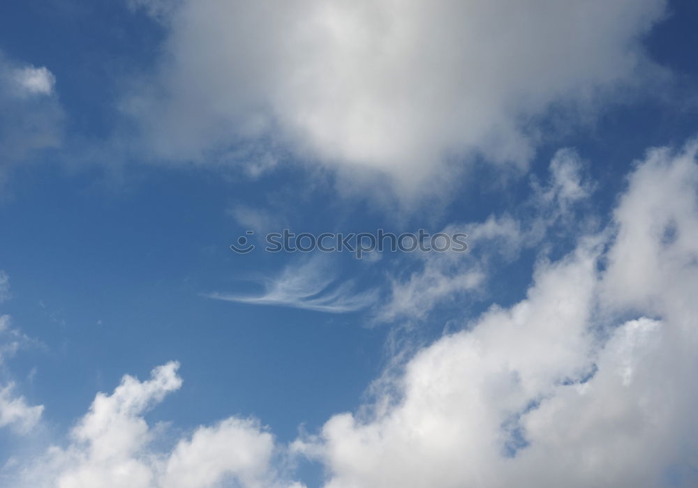 Similar – Foto Bild Palmenhimmel Blatt Baum