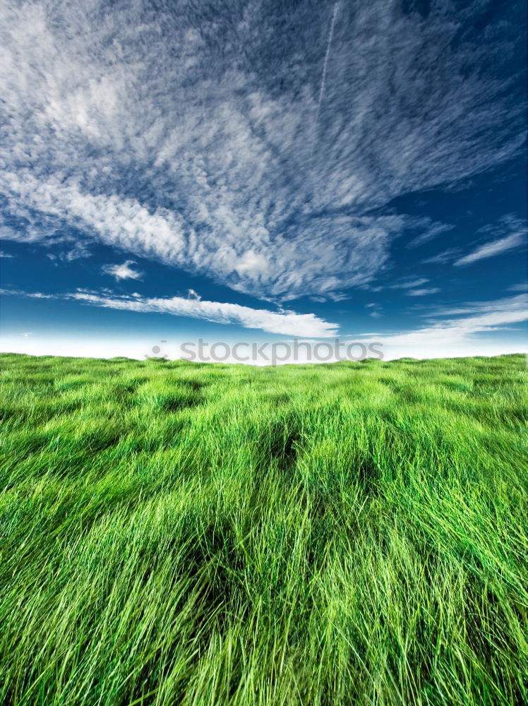 Similar – Image, Stock Photo Westerhever / North Sea coast