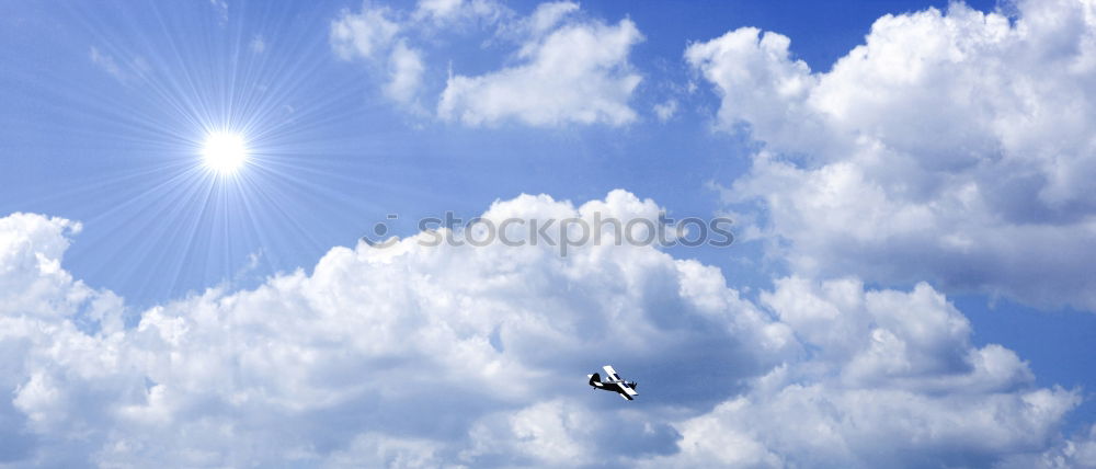 Similar – Image, Stock Photo In formation Bird Goose