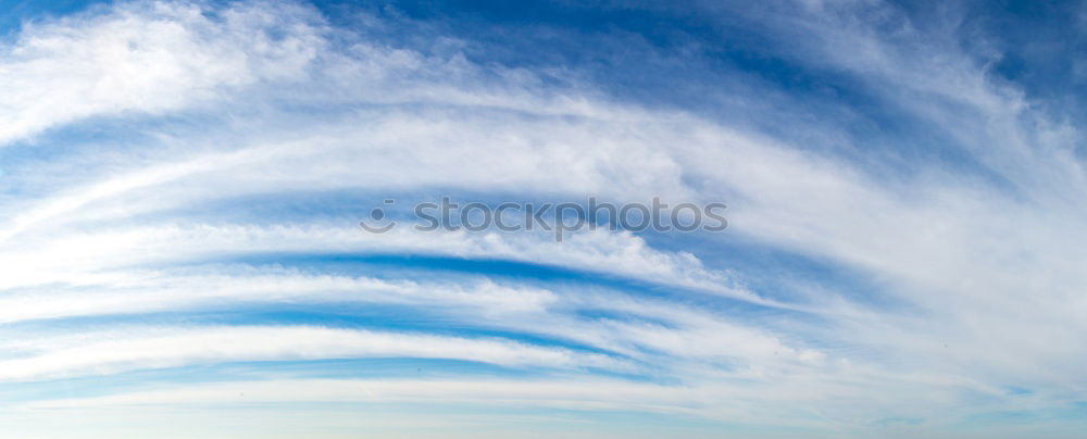 Image, Stock Photo Half and half Wood Clouds